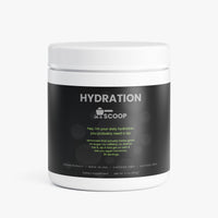 HYDRATION In A Scoop (Lemonade)